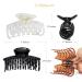 RC ROCHE ORNAMENT 6 Pcs Womens Classic Double Multi Layer Fine Teeth Claws - Large Clear Brown and Black Pack of 6 - Buy Online on GoSupps.com