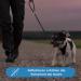 Premium 2m Adjustable Dog Leash - Reflective Weatherproof & Tearproof for Small to Large Dogs (15kg+) - Durable Paracord Design - Buy Online on GoSupps.com