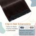 Elailite Clip In Extensions - Real Human Hair 3/4 Full Head 5 Clips 45cm Dark Brown #02 - Smooth & Natural Look - Buy Online on GoSupps.com