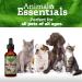 Animal Essentials Milk Thistle Liver Support for Dogs & Cats - Made in USA Liver Supplement | Various Sizes - Buy Online on GoSupps.com