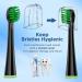 Water Pik Sonic Fusion Compact Toothbrush Heads (SF-01/SF-02/SF-03/SF-04) - 4 Count Black with Covers - Buy Online on GoSupps.com