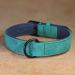 Didog Soft Padded Leather Dog Collar - Adjustable Green Collar for Small Medium & Large Dogs (XL: 40-50 cm) | Durable & Stylish - Buy Online on GoSupps.com