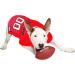 NFL Tampa Bay Buccaneers XX-Large Dog Jersey - Licensed Football Costume for Pets - Buy Online on GoSupps.com