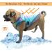 Dog Cooling Vest - Breathable Mesh Cooling Coat for All Sizes | Adjustable Straps | Rainbow Design - Buy Online on GoSupps.com