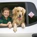 Amabro Little Princess on Board Car Warning Signs 2pcs - Pink Safety Bumper Sticker Set - Buy Online on GoSupps.com