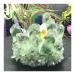 for Natural Green Ghost Phantom Quartz Crystal Cluster Rock Stones and Crystals Specimen Home DecoGift Crystal Cluster (Color : 950-1000g)