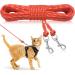 Ranypet Reflecting Long Line for Cats 15m/ 50ft Disappearing Line Hof Hof Long Long long -lasting safe extension leash for kittens puppies rabbits and small animals 15m/ 50ft Orange