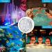 2 Pack Submersible LED Lights Waterproof Pool Lights Underwater with 16 Colors Remote Control Lights for Aquarium Vase Bath Hot Tub Halloween Christmas Swimming Pool and Party Decoration Multi-colored 2pack - Buy Online on GoSupps.com