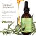 Organic Rosemary Hair Oil - Natural Essential Oil for Healthy Hair & Scalp Care - 30ml - Buy Online on GoSupps.com