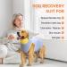 Avont Dog Recovery Suit - Postoperative Wound Protection for Neutered Males & Bitches - Blue (3XS) - Prevents Leak & Ensures Comfort - Buy Online on GoSupps.com