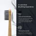 Buy PerioSciences Biodegradable Bamboo Toothbrush - Soft Charcoal Bristles for Eco-Friendly Oral Care - Buy Online on GoSupps.com