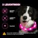 Nepfaivy Luminous Waterproof Dog Collar - USB Charging Adjustable LED Light with 3 Modes Safe & Stylish Pink Silicone for Dogs - Buy Online on GoSupps.com