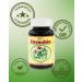 Healthy Land Hemobin 120 Capsules - Angelica Opuntia Alfalfa Hawthorn Berry Supplement for Optimal Blood Health - Buy Online on GoSupps.com