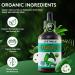 2 Fl Oz Organic Soursop Extract Drops - Graviola Leaf Extract Liquid (Soursop) - Soursop Guanabana Leaves Liquid Aour Sop Drops - 98% Absorption - 2 Fl Oz(60ML - Buy Online on GoSupps.com