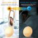 Foryond Light Alarm Clock - Sunrise Sunset Simulation Dual Alarms 20 Brightness Levels 7 Sounds & FM Radio for Adults & Kids - Blue - Buy Online on GoSupps.com