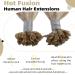 Ugeat 35cm Keratin Bonding Real Hair Extensions - U Tip 1g/Strands Ash Blonde Highlights (#18P613) - 50 Strands 14 Inch Quality Real Hair - Buy Online on GoSupps.com
