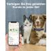 Simplethings Waterproof AirTag Dog Collar - Anti-Loss Silicone Holder for Apple AirTag - Black M-22mm - Perfect for Cats & Dogs - Buy Online on GoSupps.com