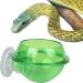 Mipcase 2pcs Tools Tortoise Water Dish Reptile Supplies Pet Stuff Reptile Feeder Sucker Turtle Pet Supplies - Buy Online on GoSupps.com