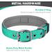 Joytale Turquoise Dog Collar - Softly Padded Neoprene for Medium Dogs Reflective Nylon Wide Collar (1 Pack) - Buy Online on GoSupps.com