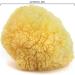 NEPTUNE Bath Sponge 8" Yellow Sea Sponge - Buy Online on GoSupps.com