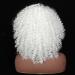 Shop Colorfulpanda Afro Kinky Wigs for Women | Short Wavy Synthetic Wig - Naturally Curly & Stylish - Buy Online on GoSupps.com