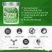 Punky Spring Green Semi Permanent Hair Color - Vegan, Non-Damaging Dye | 3.5oz Lasts Up to 35 Washes - Buy Online on GoSupps.com