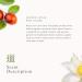 RITUALS The Ritual of Jing Body Cream & Refill Set - Sacred Lotus & Jujube | International Shipping - Buy Online on GoSupps.com