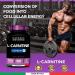 Bandini L-CARNITINE 1000mg Carnipure | Vegan Tablets - 100 Days Supply | High Strength L Carnitine Tartrate Supplement | Boosts Energy & Metabolism | Reduces Fatigue | Pre-Workout Formula - Buy Online on GoSupps.com