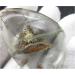 Natural Red Ghost Garden Quartz Crystal Chorite-Crystals Rutilated Stone Raw Stones and Minerals - Buy Online on GoSupps.com
