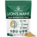 Lions Mane Mushroom Powder Organic Supplement - (USA Grown), Fruiting Body Extract, Nootropic Brain Supplement for Focus & Memory Support, Creativity, Brain Booster | 3.5 Ounces (50 Servings)