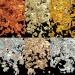 Holographic Nail Glitter Flakes | 12 Grids 3D Irregular Sequins | Shiny Gold & Silver Nail Art Supplies | Vintage Glitter for UV Gel Nails Design - Buy Online on GoSupps.com
