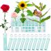 40 Pieces Floral Tubes Floral Water Tubes with 40-Hole Rack Holder Plastic Flower Vials with Caps for Flower Arrangements Milkweed Cuttings (Green 2.8 x 0.7 Inch) Green 2.8 x 0.7 Inch