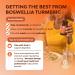 Boswellia Extract Capsules with Turmeric - Advanced Joint & Immune Health Support Supplement - Turmeric & Boswellia Serrata Extract Capsules 500 mg for Body Detox & Healthy Joints - 90 Count 90 count (Pack of 1) - Buy Online on GoSupps.com
