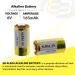 Buy 2x Exell A28PX Alkaline 6V Battery - Replaces PX28A A544 & More | Fast International Shipping - Buy Online on GoSupps.com