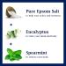 Dr Teal's Epsom Salt Soaking Solution 3lbs - Eucalyptus & Spearmint Relaxation Relief - Buy Online on GoSupps.com