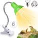 Shengruili turtle heat lamp 25W 50W heat lamp turtles reptiles lamp terrarium heat lamp for turtles terrarium reptiles terrarium heat lamp C-green