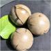 Natural Crystal Rough Natural s and Minerals Large Beautiful Dragon septarian geode Egg Around 200-1000g Home Decoration Very Lucky Natural Stones and Minerals - Buy Online on GoSupps.com
