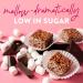 HighKey Sugar Free Protein Crispy Treats - Keto, Low Carb & Gluten Free Snack | Healthy High Protein Bar (7.05oz) - Buy Online on GoSupps.com
