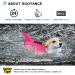 Buy Cit toile Shark Life Jacket for Dogs - Lightweight & Safe Swimming Vest for Small Medium & Large Dogs - Pink Camouflage with Reflective Handle - Buy Online on GoSupps.com
