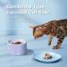 Pawaii Ceramic Elevated Cat Bowl Set - Whisker Friendly, Dishwasher Safe - Purple and Blue - Buy Online on GoSupps.com