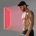 Red-Light-Therapy LED 660nm & Near Infrared 850nm Combo Device for Face & Body Skin - Buy Online on GoSupps.com