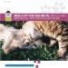 Revive Active - Omega 3 Liquids for Dogs and Cats 473ml Skin and Coat Supplement - Promotes Cognative Health Maintain Well Being -Supports Renal and Cardiovascular Funtions. - Buy Online on GoSupps.com
