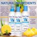 Fairy Tales Tangle Tamer Kids Shampoo & Conditioner - 2 Pack 12 Oz Bottles - Anti Frizz, Ultra Moisturizing, Paraben & Sulfate Free - Buy Online on GoSupps.com