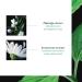Ren Furterer - ASTERA SENSITIVE - Pollution Protection Serum - Treatment for sensitive scalps - 75ml - Buy Online on GoSupps.com