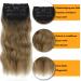 Clip-In Hair Extensions - Brown Synthetic Double Weft 50cm 200g Ombre Goldblond - Affordable Full Head 4-Pcs for Women - Buy Online on GoSupps.com