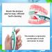1PCS Denture Box with Brush - Ideal Storage Solution for Dentures & Braces - International Shipping Available - Buy Online on GoSupps.com