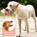 IOKHEIRA Interactive Squeaky Dog Plush Toys for Large & Small Dogs - Buy Online on GoSupps.com