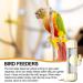 Quotent Automatic Bird Water Bottle - 200ml Dispenser for Parrots Budgies & Small Pets - Easy Fill Watering Solution for Bird Cages - Beige - Buy Online on GoSupps.com