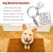 Memorial Keychain with Paw Charm | Stainless Steel Pet Keychain for Cats & Dogs | Pet Memorial Keepsake - Buy Online on GoSupps.com