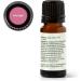 Plant Therapy Anti Age Essential Oil Blend 10 mL (1/3 oz) 100% Pure Undiluted for Fine Lines Wrinkles and Elasticity 0.33 Fl Oz (Pack of 1) - Buy Online on GoSupps.com